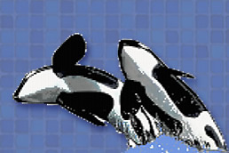 Dibujos para piscinas en gresite - Orca